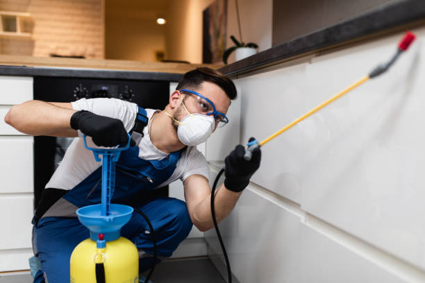 Best Flea Control Services  in Belmont, NC